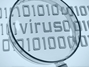 Virus, Trojan Horse, Malware, Spyware Removal Services